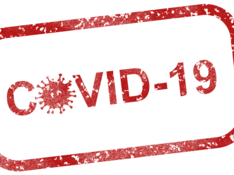 covid-19-4960254_1920.png